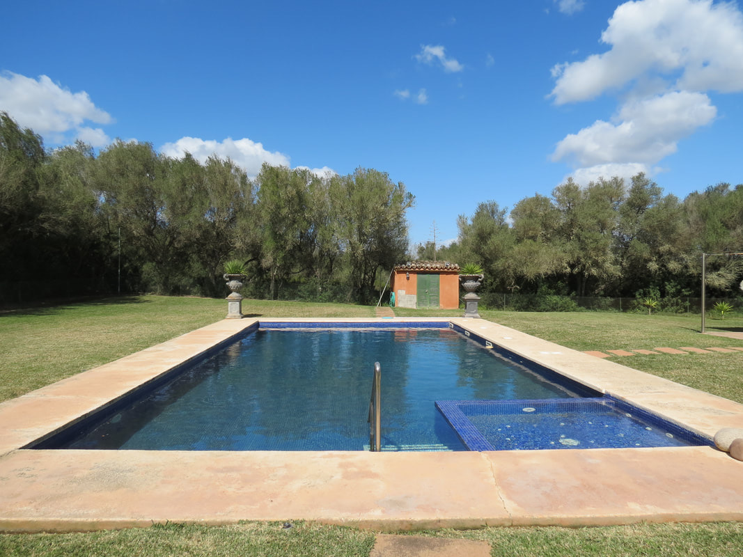 The long pool with its built-in plunge step, terracotta surround and a small stone pool-house behind, framed by pines