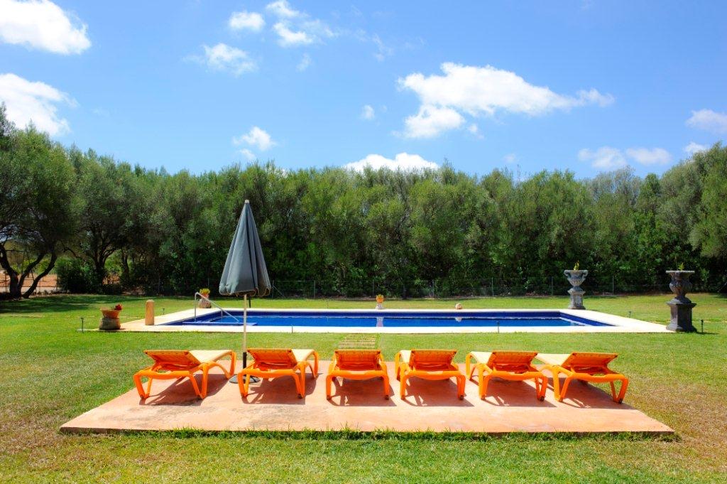 The pool on the lawn, a row of orange sun-loungers and a parasol on the terracotta deck, a deep belt of olive trees behind under a blue sky